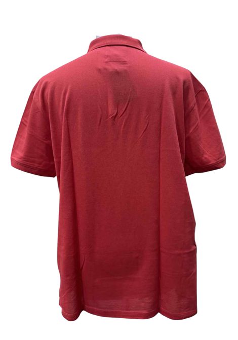 Mercerised piqué polo shirt with micro eagle EMPORIO ARMANI | polo shirts | 8N1FQ2 1JTKZ0413